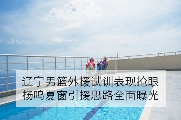 辽宁男篮外援试训表现抢眼 杨鸣夏窗引援思路全面曝光
